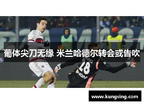 葡体尖刀无缘 米兰哈德尔转会或告吹